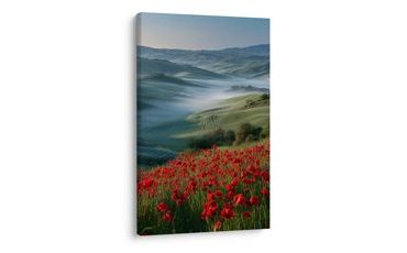 SLIKA CRVENI MAKOVI U KRAJOLIKU - SLIKE POLJA I LIVADA - SLIKE