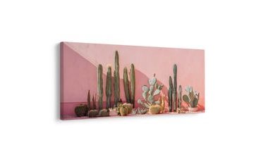 SLIKA MODERNA KAKTUSNA VRT - BOTANIČKE SLIKE - SLIKE