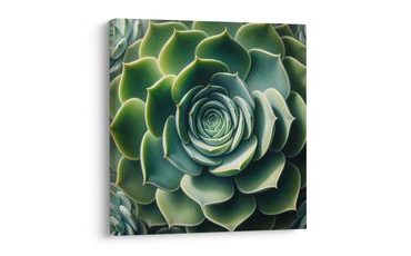 OBRAZ DOKONALÁ SPIRÁLA SUKULENTU - BOTANICKÉ OBRAZY - OBRAZY