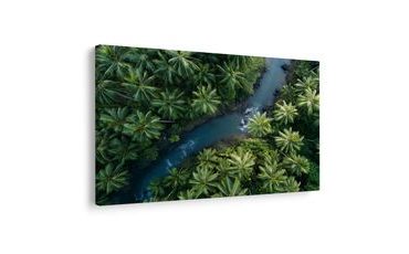 SLIKA TROPSKA RIJEKA U DŽUNGLI - SLIKE STABALA I LIŠĆA - SLIKE