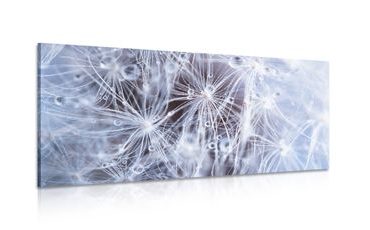 STAMPA SU TELA – MACRO DENTE DI LEONE - QUADRI DI FIORI - STAMPE E QUADRI