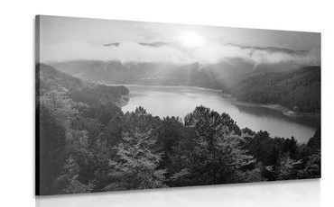 CANVAS PRINT RIVER IN THE MIDDLE OF THE FOREST IN BLACK AND WHITE - BLACK AND WHITE PICTURES - PICTURES