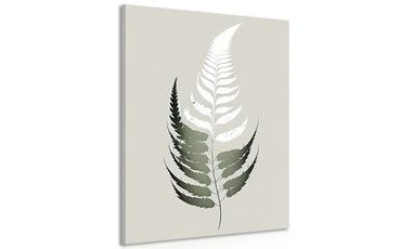 CANVAS PRINT MINIMALIST FERN LEAF - PICTURES OF TREES AND LEAVES - PICTURES