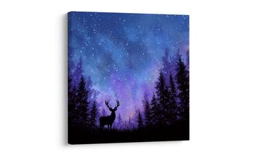 OBRAZ ZIMNÍ KOUZLO NOČNÍ OBLOHY V SILUETÁCH - VÁNOČNÍ A ZIMNÍ OBRAZY - OBRAZY
