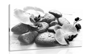 CANVAS PRINT BEAUTIFUL INTERPLAY OF STONES AND ORCHIDS IN BLACK AND WHITE - BLACK AND WHITE PICTURES - PICTURES