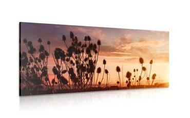 CANVAS PRINT GRASS BLADES ON A FIELD - PICTURES OF NATURE AND LANDSCAPE - PICTURES