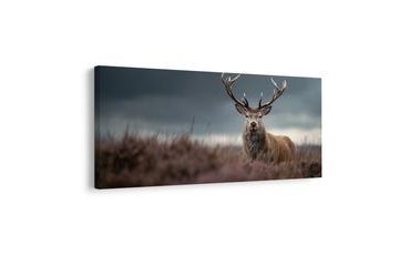 SLIKA ZIMSKA PRAVLJICA Z JELENOM - SLIKE JELENOV - SLIKE