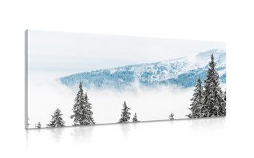 CANVAS PRINT SNOWY PINE TREES - PICTURES OF NATURE AND LANDSCAPE - PICTURES