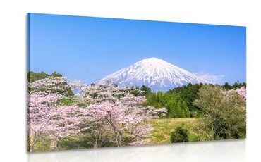 CANVAS PRINT FUJI VOLCANO - PICTURES OF NATURE AND LANDSCAPE - PICTURES