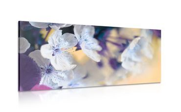 OBRAZ ROZKVETLÁ VĚTVIČKA TŘEŠNĚ - OBRAZY KVĚTŮ - OBRAZY