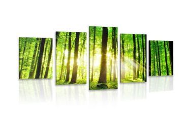 QUADRO IN 5 PARTI FORESTA RICCA DI VEGETAZIONE - QUADRI DI NATURA E PAESAGGIO - QUADRI