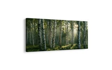 TABLEAU SUR TOILE – RAYONS DE SOLEIL ENTRE LES BOULEAUX - TABLEAUX FORÊT - TABLEAUX