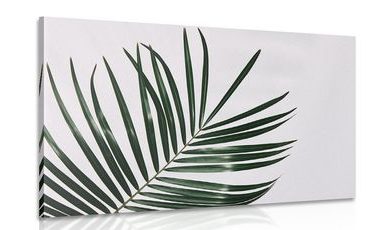 CANVAS PRINT BEAUTIFUL PALM LEAF - STILL LIFE PICTURES - PICTURES