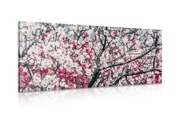 IMPRESSION SUR TOILE FLEURS DE PÊCHERS - IMPRESSIONS SUR TOILE FLEURS - IMPRESSION SUR TOILE