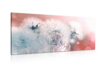 OBRAZ PAMPELIŠKA S ABSTRAKTNÍMI PRVKY - OBRAZY KVĚTŮ - OBRAZY