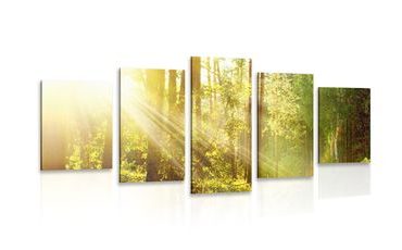 5-TEILIGES WANDBILD SONNENSTRAHLEN IM WALD - BILDER VON NATUR UND LANDSCHAFT - BILDER