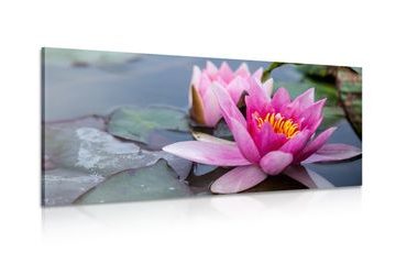 TABLOU FLOARE DE LOTUS ROZ - TABLOU FLORI - TABLOURI