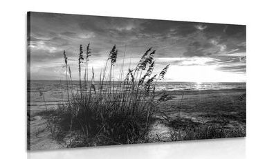 Obraz západ slunce na pláži v černobílém provedení