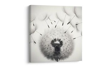 OBRAZ DETAIL PAMPELIŠKY - OBRAZY PAMPELIŠKA - OBRAZY