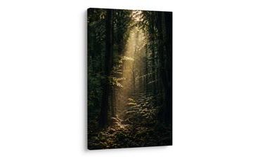 TABLEAU SUR TOILE – RAYONS DE SOLEIL DANS LA FORÊT PROFONDE - TABLEAUX FORÊT - TABLEAUX