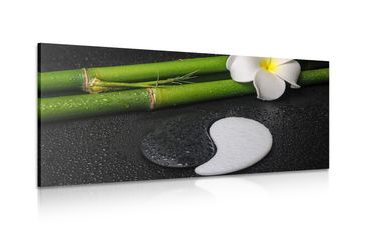 OBRAZ SPA ZÁTIŠÍ SE SYMBOLEM JIN A JANG - OBRAZY FENG SHUI - OBRAZY