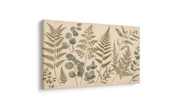 TABLEAU SUR TOILE – COMPOSITION BOTANIQUE DÉLICATE DE FOUGÈRES - TABLEAUX ARBRES ET FEUILLES - TABLEAUX