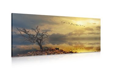 CANVAS PRINT DRIED UP TREE - PICTURES OF NATURE AND LANDSCAPE - PICTURES