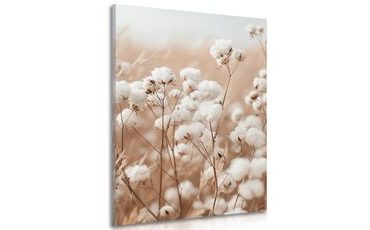 OBRAZ BAVLNÍK NA POLI - OBRAZY TRÁVY - OBRAZY