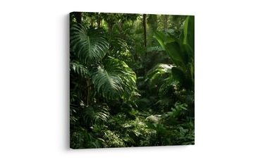 TABLEAU SUR TOILE – VERDURE EXOTIQUE DE LA FORÊT TROPICALE - TABLEAUX ARBRES ET FEUILLES - TABLEAUX
