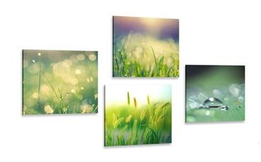 CANVAS PRINT SET MORNING DEW ON A MEADOW - SET OF PICTURES - PICTURES