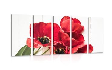5-teiliges Wandbild Rote Tulpen in der Blüte