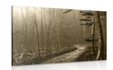 WANDBILD WEG IN DEN WALD IN SEPIA - BILDER VON NATUR UND LANDSCHAFT - BILDER
