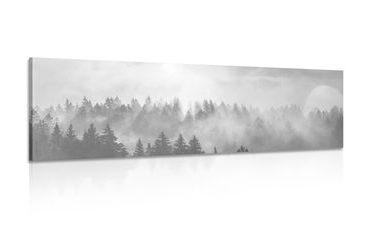 IMPRESSION SUR TOILE BROUILLARD SUR LA FORÊT EN NOIR ET BLANC - IMPRESSIONS SUR TOILE NOIR ET BLANC - IMPRESSION SUR TOILE