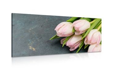 CANVAS PRINT PASTEL PINK TULIPS - PICTURES FLOWERS - PICTURES