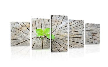 5-DÍLNÝ OBRAZ ZROD NOVÉHO ŽIVOTA - OBRAZY ZÁTIŠÍ - OBRAZY