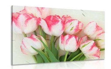 QUADRO TULIPANI PRIMAVERILI - QUADRI DI FIORI - QUADRI