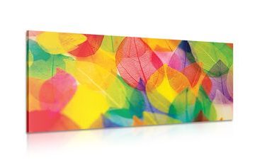 OBRAZ LISTY V PODZIMNÍCH BARVÁCH - OBRAZY PŘÍRODY A KRAJINY - OBRAZY