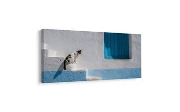 SLIKA MIRNA MAČKA KRAJ PROZORA - SLIKE MAČKE - SLIKE