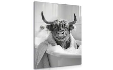 OBRAZ KRÁVA VE VANĚ - OBRAZY BUVOLY A KRÁVY - OBRAZY