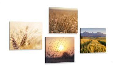 CANVAS PRINT SET MAGIC OF NATURE - SET OF PICTURES - PICTURES