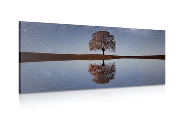 CANVAS PRINT STARRY SKY ABOVE A LONELY TREE - PICTURES OF NATURE AND LANDSCAPE - PICTURES