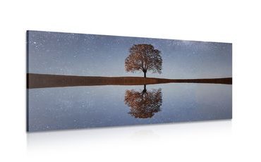WANDBILD STERNENHIMMEL ÜBER EINEM ALLEINSTEHENDEN BAUM - BILDER VON NATUR UND LANDSCHAFT - BILDER
