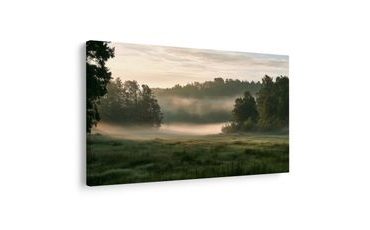 TABLEAU SUR TOILE – MATIN BRUMEUX AU-DESSUS D’UNE PRAIRIE - TABLEAUX DE CHAMPS ET PRAIRIES - TABLEAUX