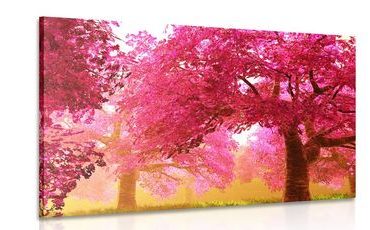 CANVAS PRINT ENCHANTING BLOOMING CHERRY TREES - PICTURES OF NATURE AND LANDSCAPE - PICTURES
