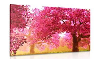 QUADRO DI MAGICI ALBERI DI CILIEGIO IN FIORE - QUADRI DI NATURA E PAESAGGIO - QUADRI