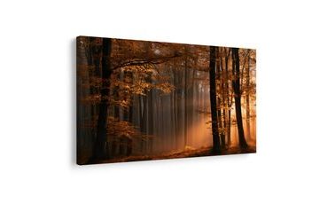 TABLEAU SUR TOILE – LUMIÈRE DORÉE DANS LA FORÊT - TABLEAUX FORÊT - TABLEAUX