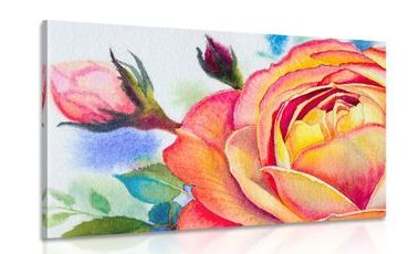 WANDBILD ROSEN IN ROSA - BILDER BLUMEN - BILDER