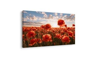 TABLEAU SUR TOILE – COQUELICOTS AU COUCHER DU SOLEIL - TABLEAUX DE CHAMPS ET PRAIRIES - TABLEAUX