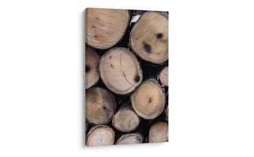 QUADRO SU TELA – DETTAGLIO DEL LEGNO - QUADRI ALBERI E FOGLIE - STAMPE E QUADRI