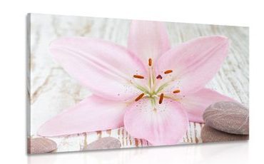 WANDBILD ROSA LILIE UND ZEN-STEINE - BILDER MIT FENG SHUI-MOTIVEN - BILDER